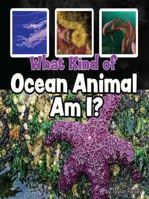 cover image of What Kind of Ocean Animal Am I?